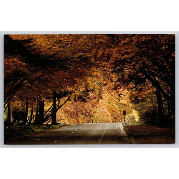 Top 10 Things To Do In Stanley Park, Vancouver - Foto 8